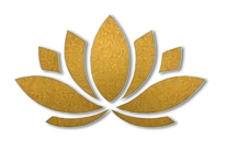 icon 001 removebg preview